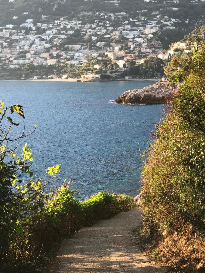 Les Lilas Roquebrune-Cap-Martin Eksteriør billede
